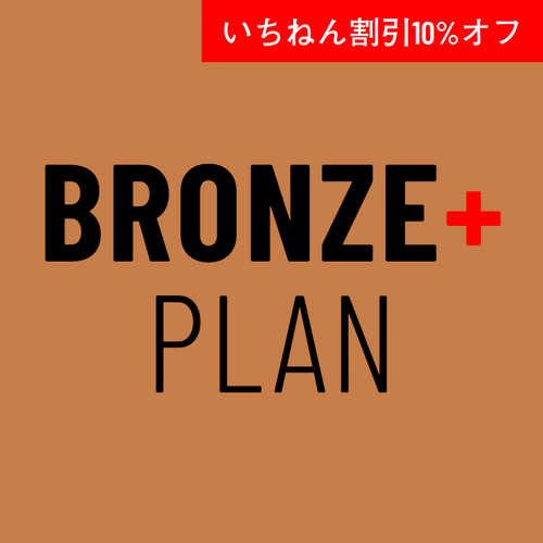 Online Coaching BRONZE+ プラン 年払